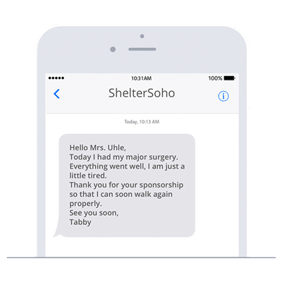 SMS in animal shelters can be used for many purposes